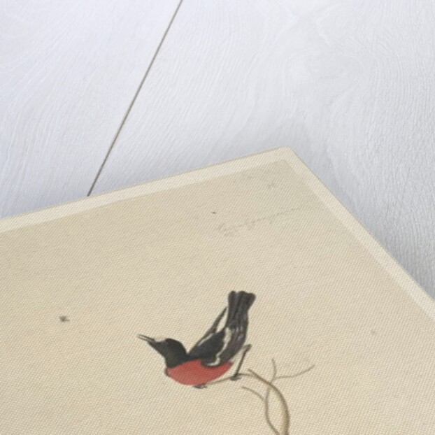 Page 25. Car,ral,gar,yei,sar by Unknown artist