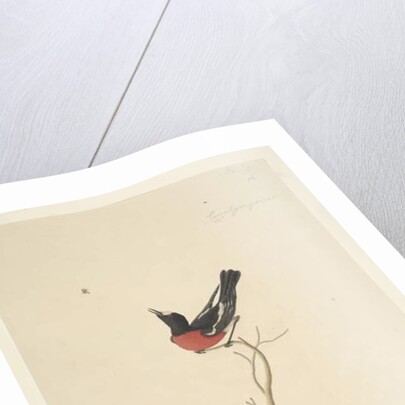 Page 25. Car,ral,gar,yei,sar by Unknown artist