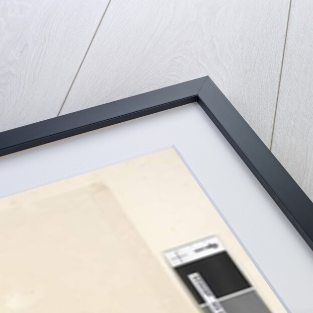 Page 26. Two birds of Norfolk Island Scarlet Robin, 1791-92 by Unknown artist