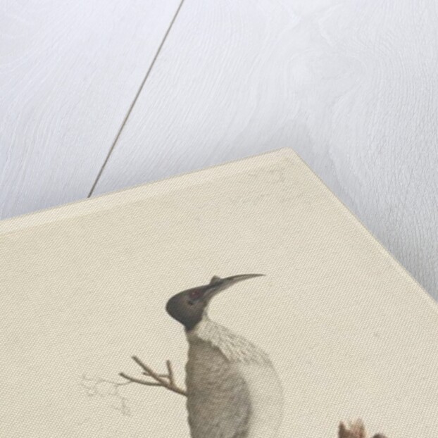 Page 55. Wer,gan or the Friar by Unknown artist