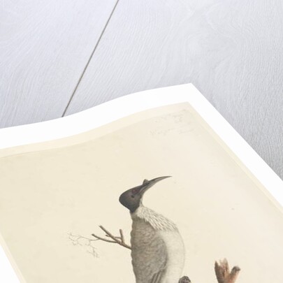 Page 55. Wer,gan or the Friar by Unknown artist