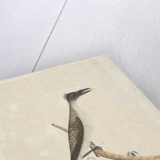 Page 57. January by Unknown artist