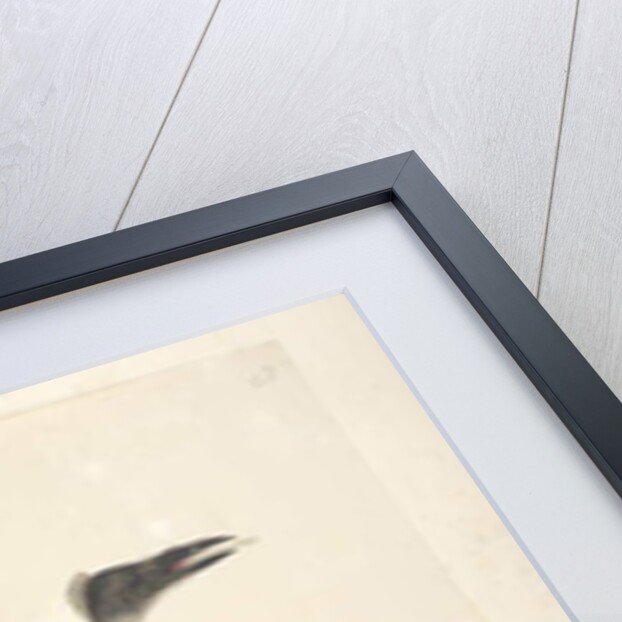 Page 57. January by Unknown artist