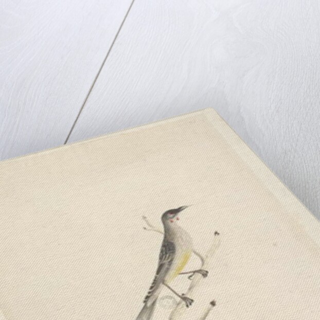 Page 60. June by Unknown artist