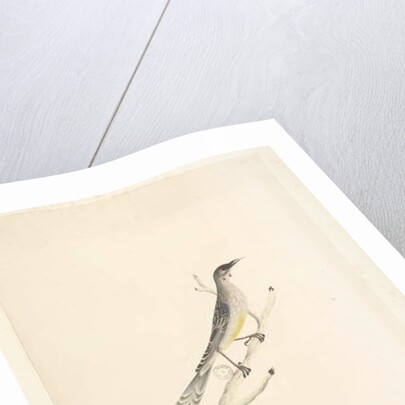 Page 60. June by Unknown artist