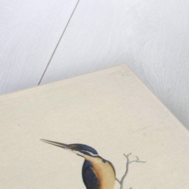 Page 74. Ter,re,a,mar or King Fisher by Unknown artist