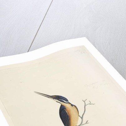 Page 74. Ter,re,a,mar or King Fisher by Unknown artist