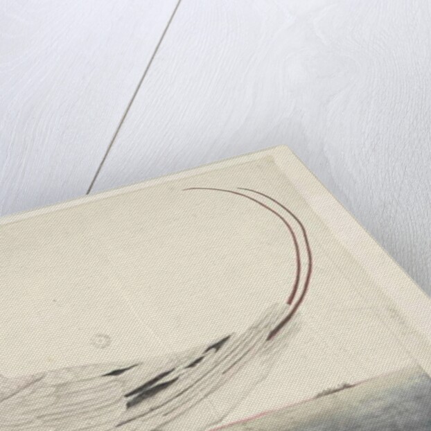 Page 100. Phaeton Red, Tailed Tropicbird Phaethon rubricauda, 1791-92 by Unknown artist