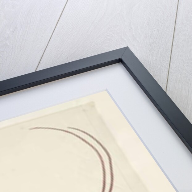 Page 100. Phaeton Red, Tailed Tropicbird Phaethon rubricauda, 1791-92 by Unknown artist