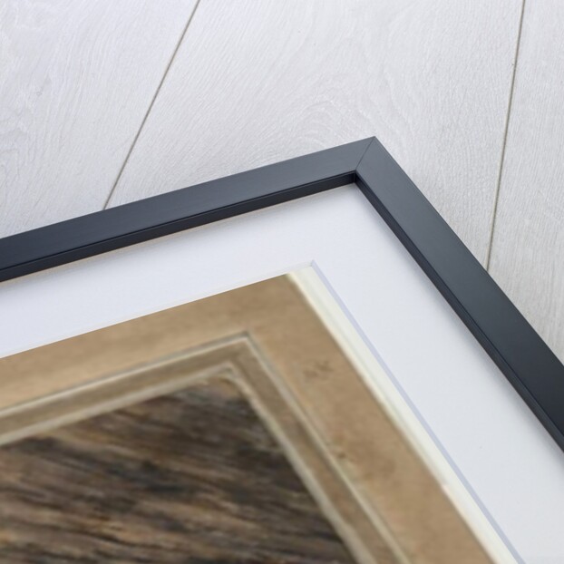 Koala and young, 1803, by John William Lewin