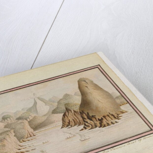 Opp. p. 38. 'Fortified Bay on the Wt side the entrance of Rio Janeiro Coast of Brazil', c.1802 by William Bradley