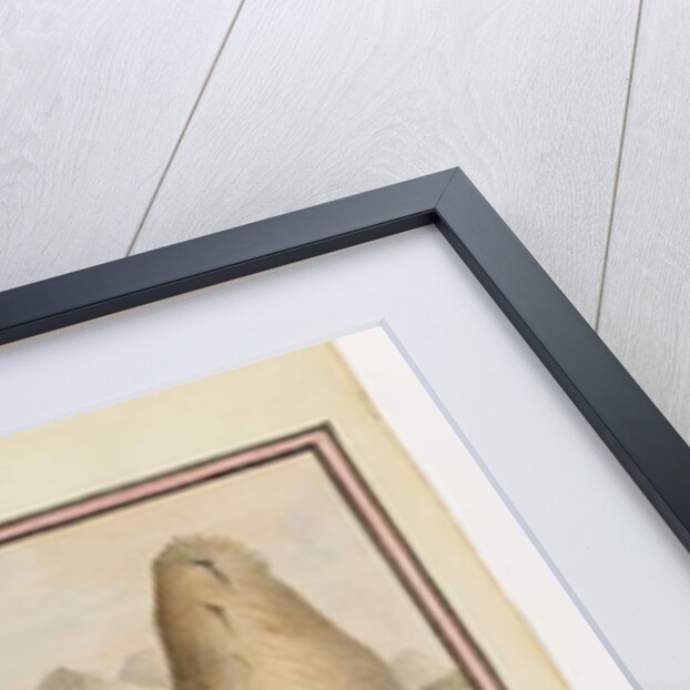 Opp. p. 38. 'Fortified Bay on the Wt side the entrance of Rio Janeiro Coast of Brazil', c.1802 by William Bradley