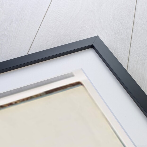 Page 29. Unidentified fish by Unknown artist