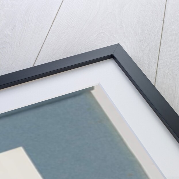 Page 30. Unidentified fish by Unknown artist