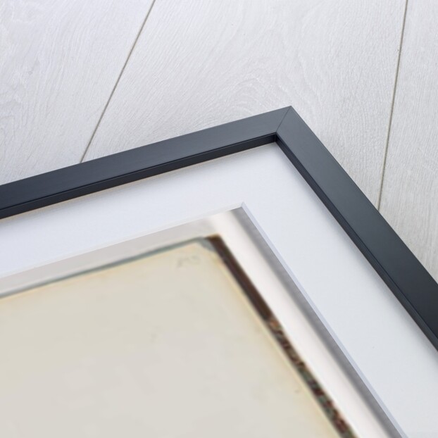 Page 35. Black-shouldered Kite. Axillary Falcon by Unknown artist