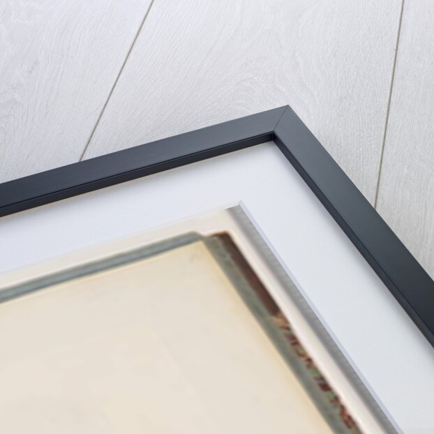 Page 47. Eastern Rosella. Non pareil Parrot by Unknown artist