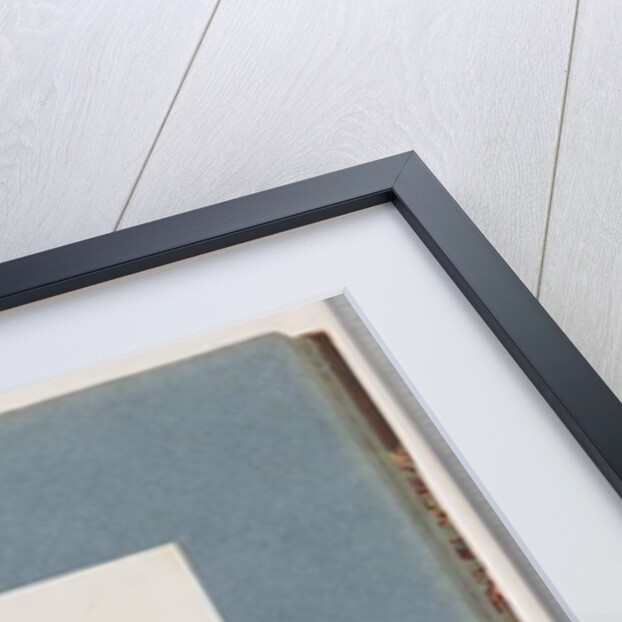 Page 52. Pallid Cuckoo by Unknown artist