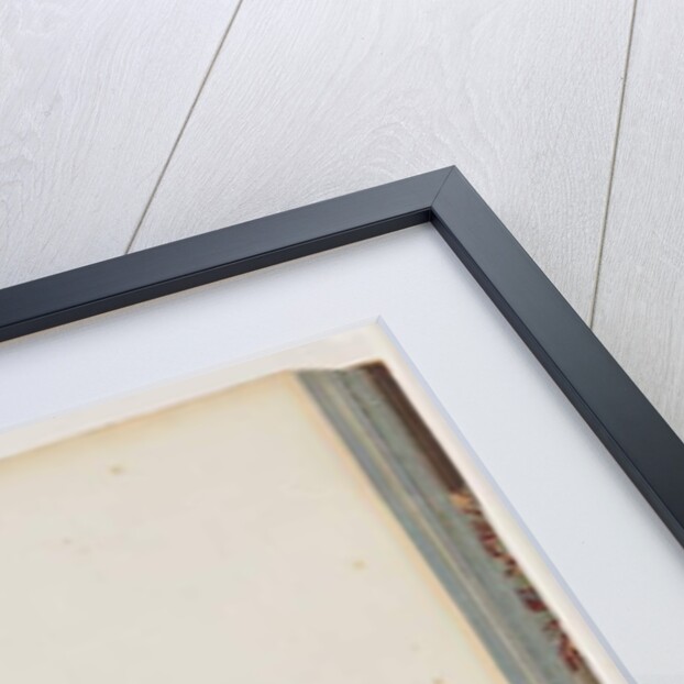 Page 66. 1. Scarlet Honeyeater. Certhia/Honeyeater/orientale. 2. Unidentified bird. Muscicapa malachura by Unknown artist