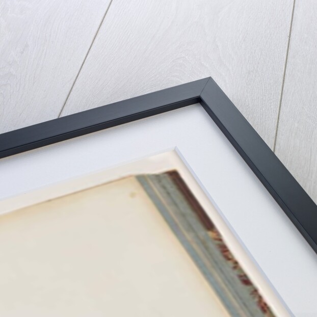 Page 68. Red-winged Fairy, wren, male and female. Male and female Superb Warblers by Unknown artist