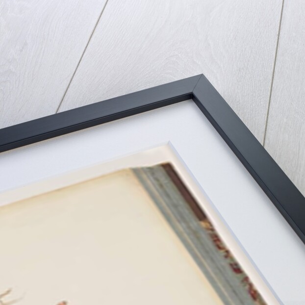 Page 72. 1. Spotted Pardalote. Pipra punctata 2. Unidentified bird. Muscicapa rufifrom by Unknown artist