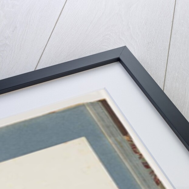 Page 82. Golden Plover by Unknown artist