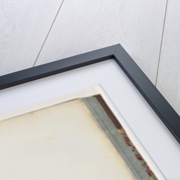 Page 85. Sooty Tern. Sterna novae Hollandae. New Holland Tern by Unknown artist