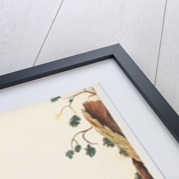 Page 87. Duck by Unknown artist