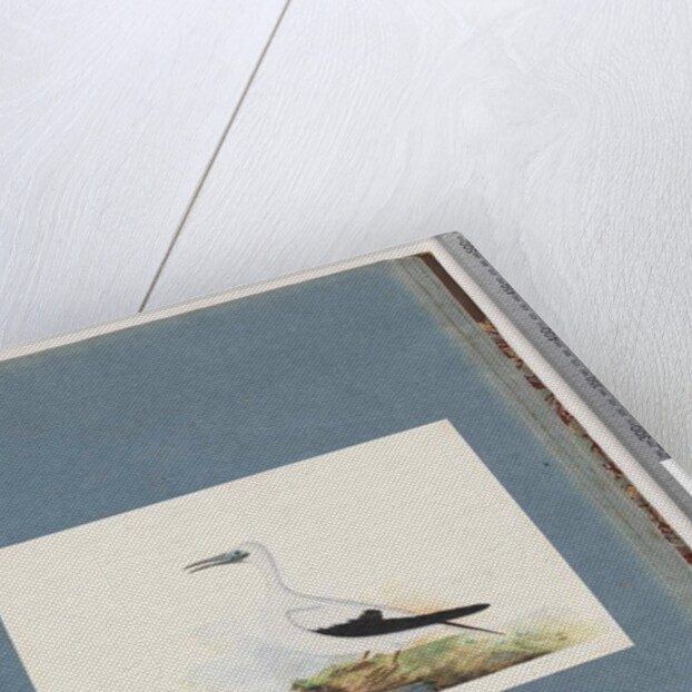 Page 91. Unidentified bird. Pel. borssanus by Unknown artist