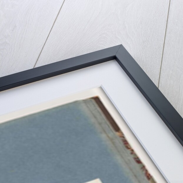 Page 91. Unidentified bird. Pel. borssanus by Unknown artist