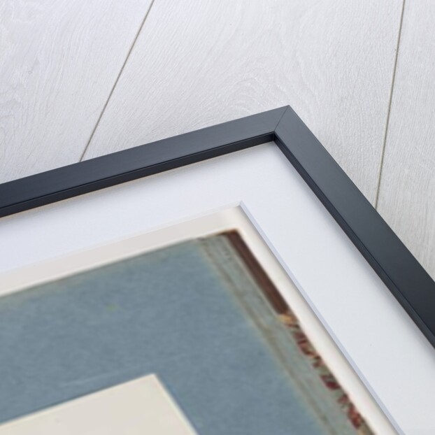 Page 99. Buff-banded Rail by Unknown artist