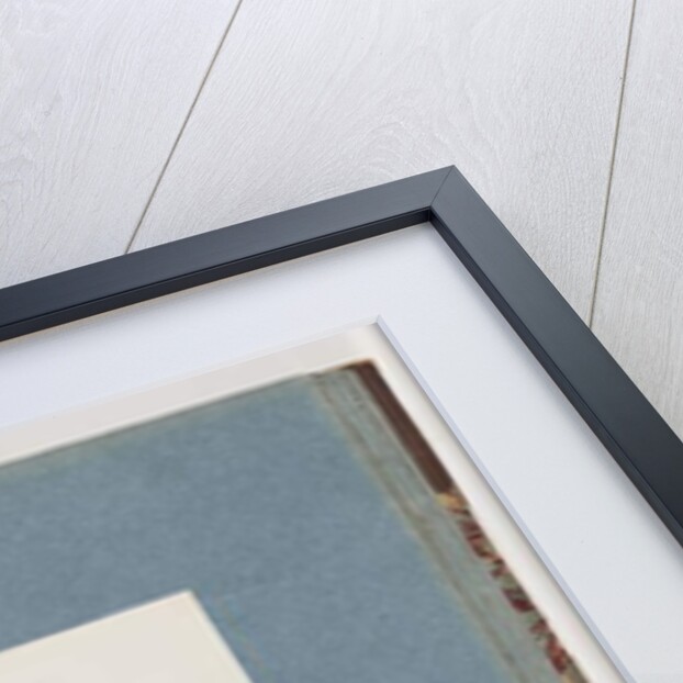 Page 100. New Holland Honeyeater. Certhia Novae Hollandiae by Unknown artist