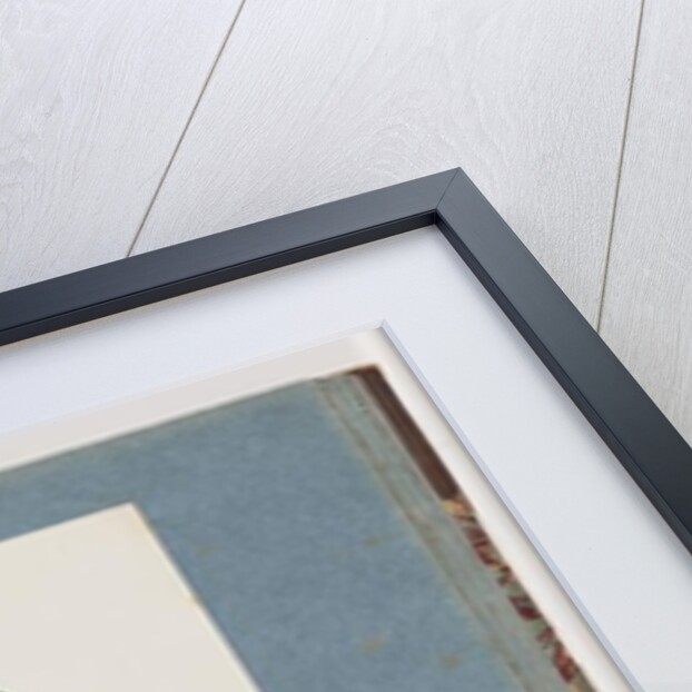 Page 103. Unidentified Bird. Honeyeater. 104. Unidentified Bird by Unknown artist