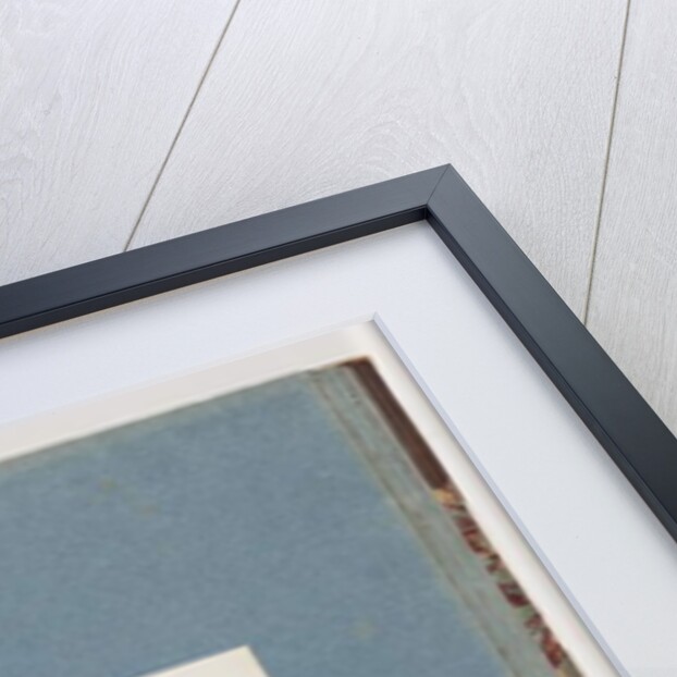 Page 107. Unidentified Bird by Unknown artist