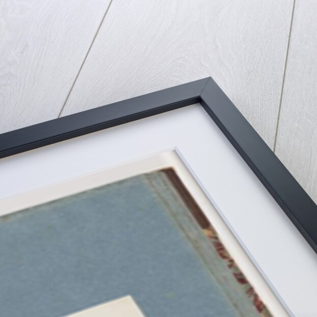 Page 108. Unidentified Bird by Unknown artist