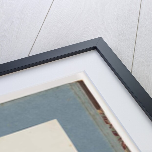 Page 109. Unidentified Bird by Unknown artist