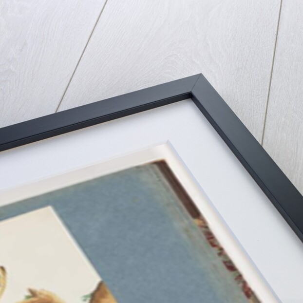 Page 111. Unidentified Bird. 112. Unidentified Bird. by Unknown artist