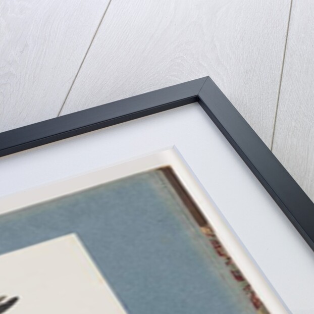 Page 121. Unidentified Bird. 122. Unidentified Bird by Unknown artist