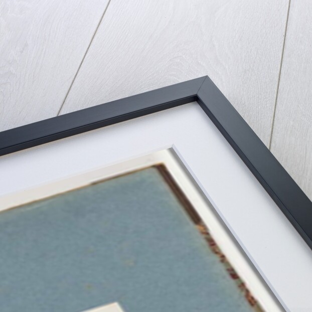 Page 146. Unidentified Bird. Honeyeater by Unknown artist