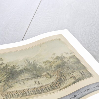 F.4 The Reception of Captain Cook in Hapaee, c.1773-84 by John Webber