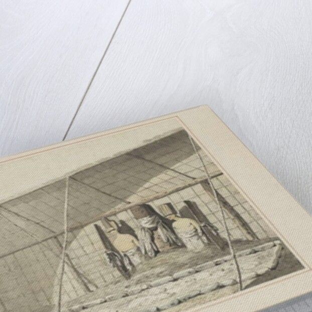 F.18 The Inside of the House, in the Morai, in Atooi, c.1773-84 by John Webber