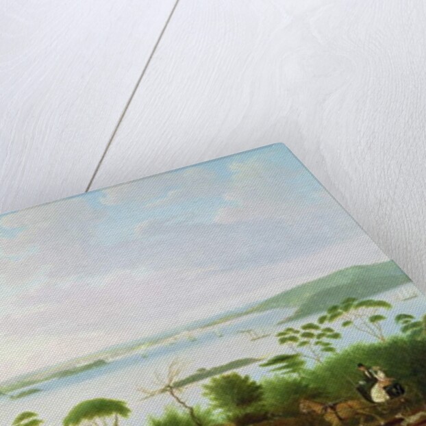 Sydney Harbour looking towards Sydney, 1848 by Jacob Janssen