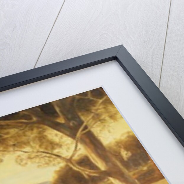 Gold diggings, Ararat, 1853 by J Roper