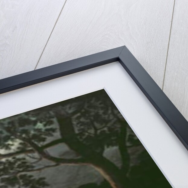 Corroboree at Newcastle, c.1818 by Joseph Lycett