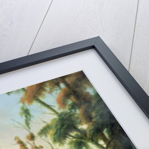 A direct north general view of Sydney Cove, 1794 by Thomas Watling