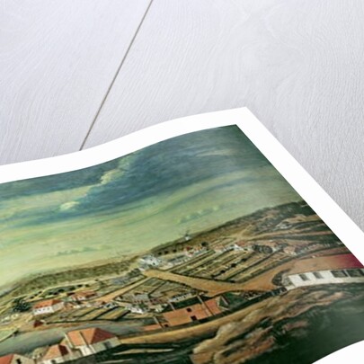 Sydney, capital of New South Wales, c.1800 by Thomas Watling