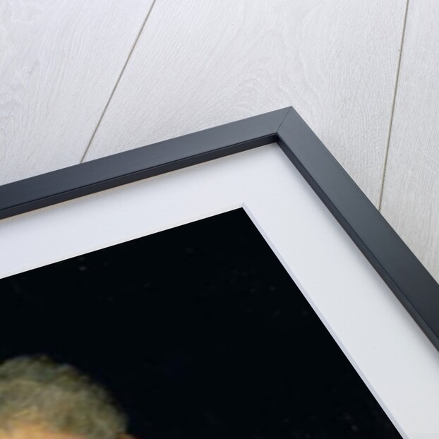 Possibly a portrait of Major General Lachlan Macquarie, Governor of New South Wales 1809-21, the 'Father of Australia', c.1805 by John Opie