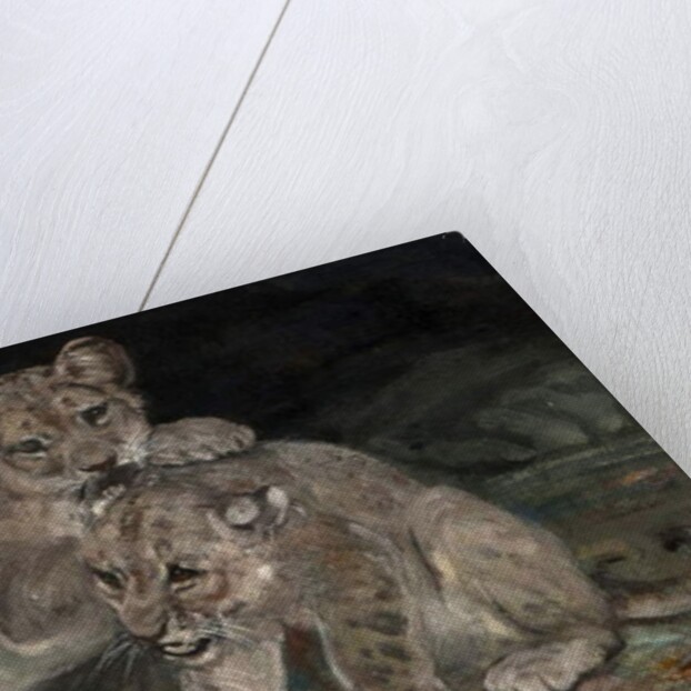 Lion Cubs, c.1906 by William Walls
