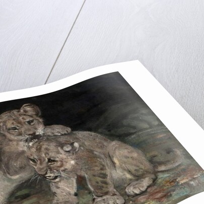 Lion Cubs, c.1906 by William Walls