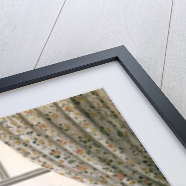 View of the Freyung, Vienna, 1825 by Friedrich Wigand