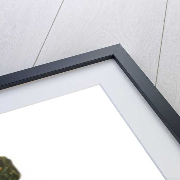 St Martin by French School